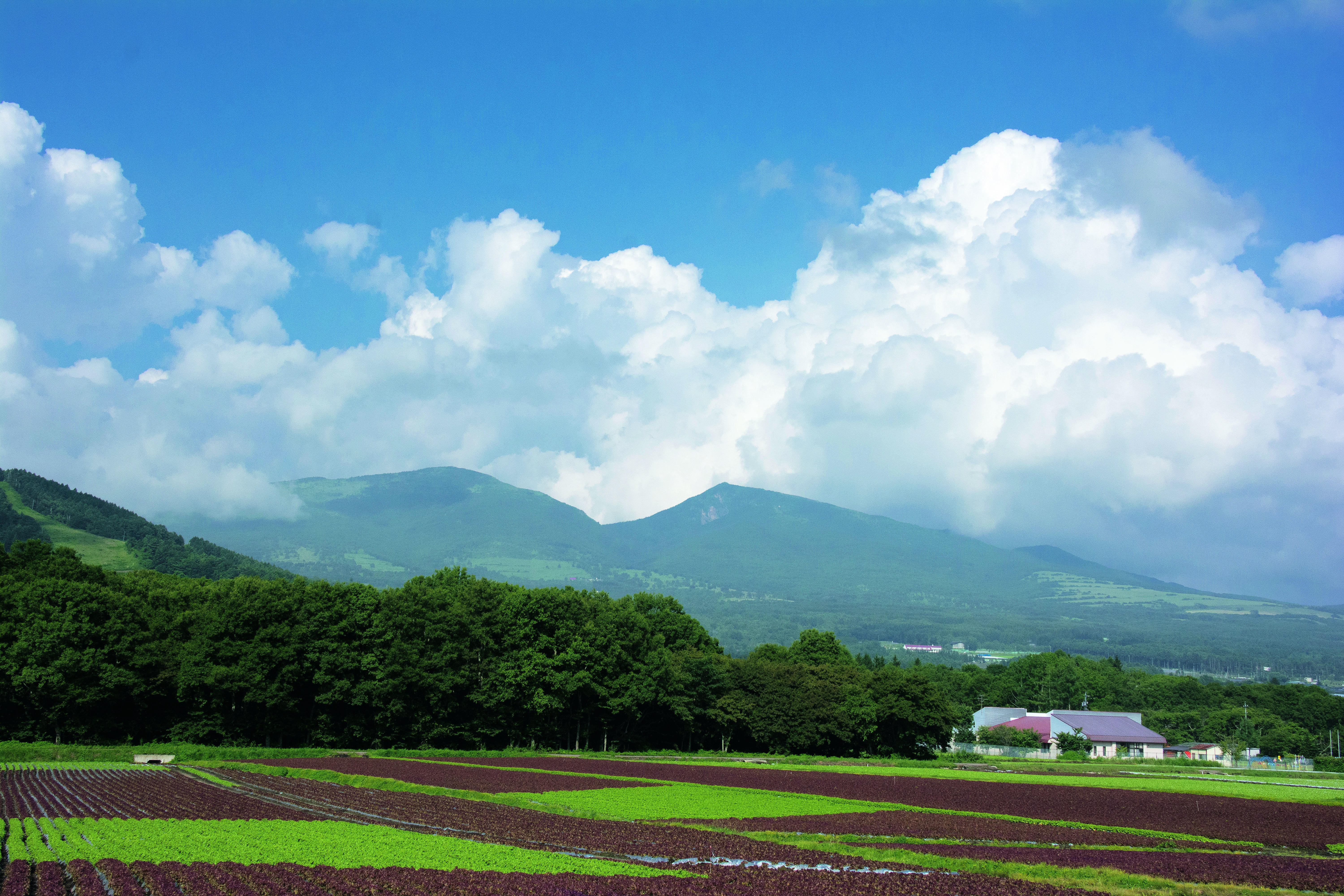 上田市_菅平高原