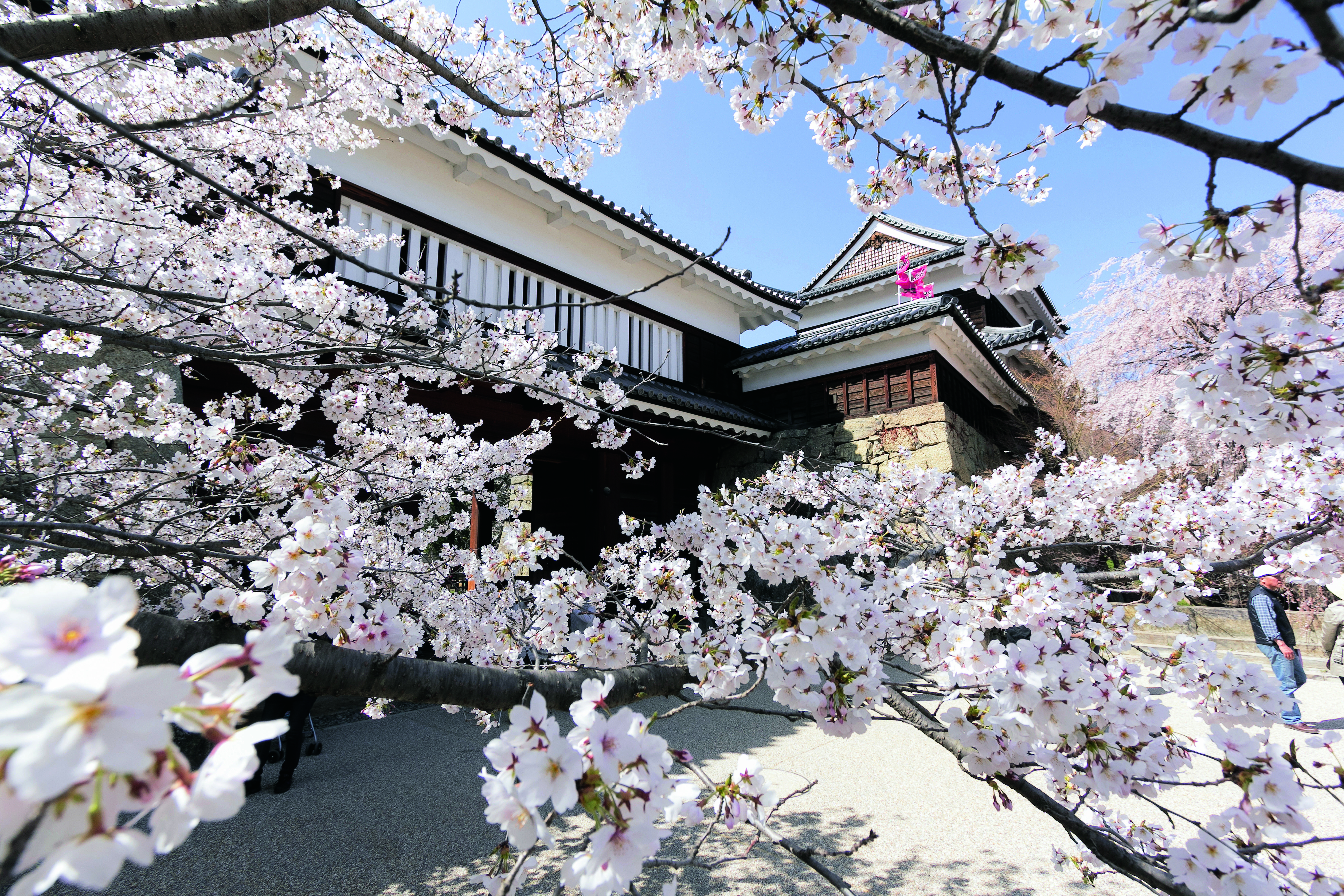 上田市_上田城