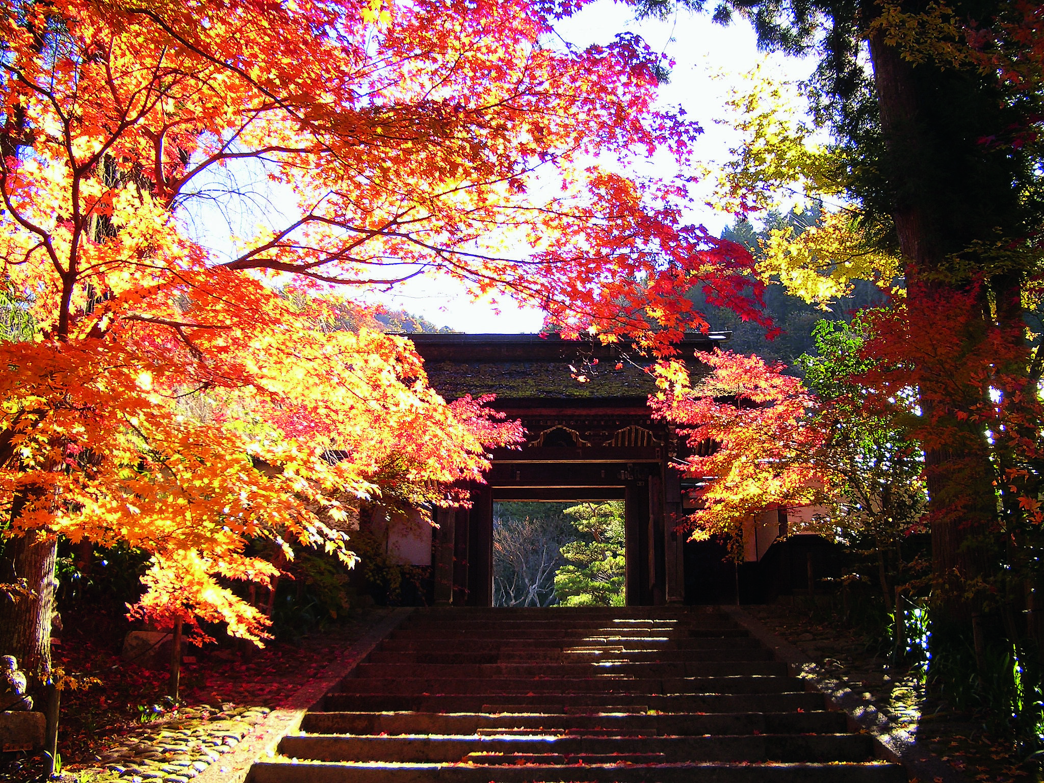 大桑村_定勝寺