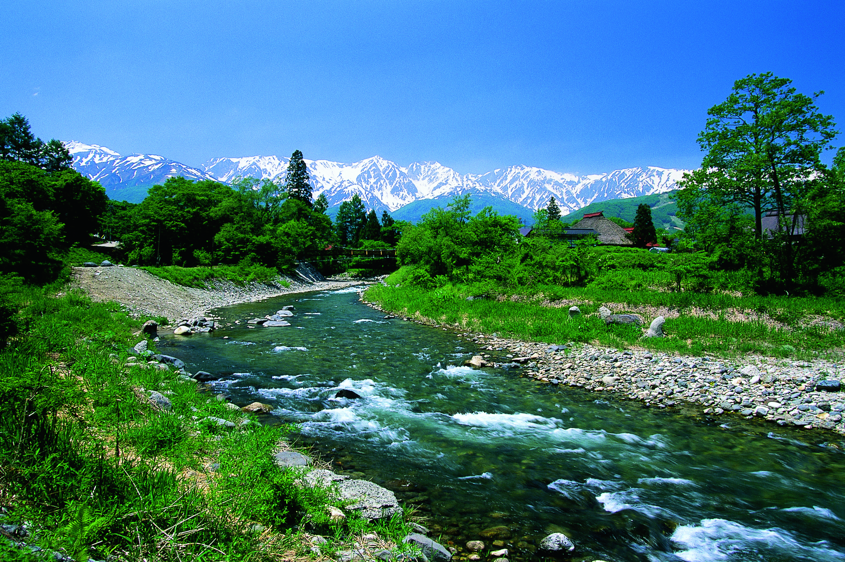 白馬村_北アルプスを望む大出の吊り橋