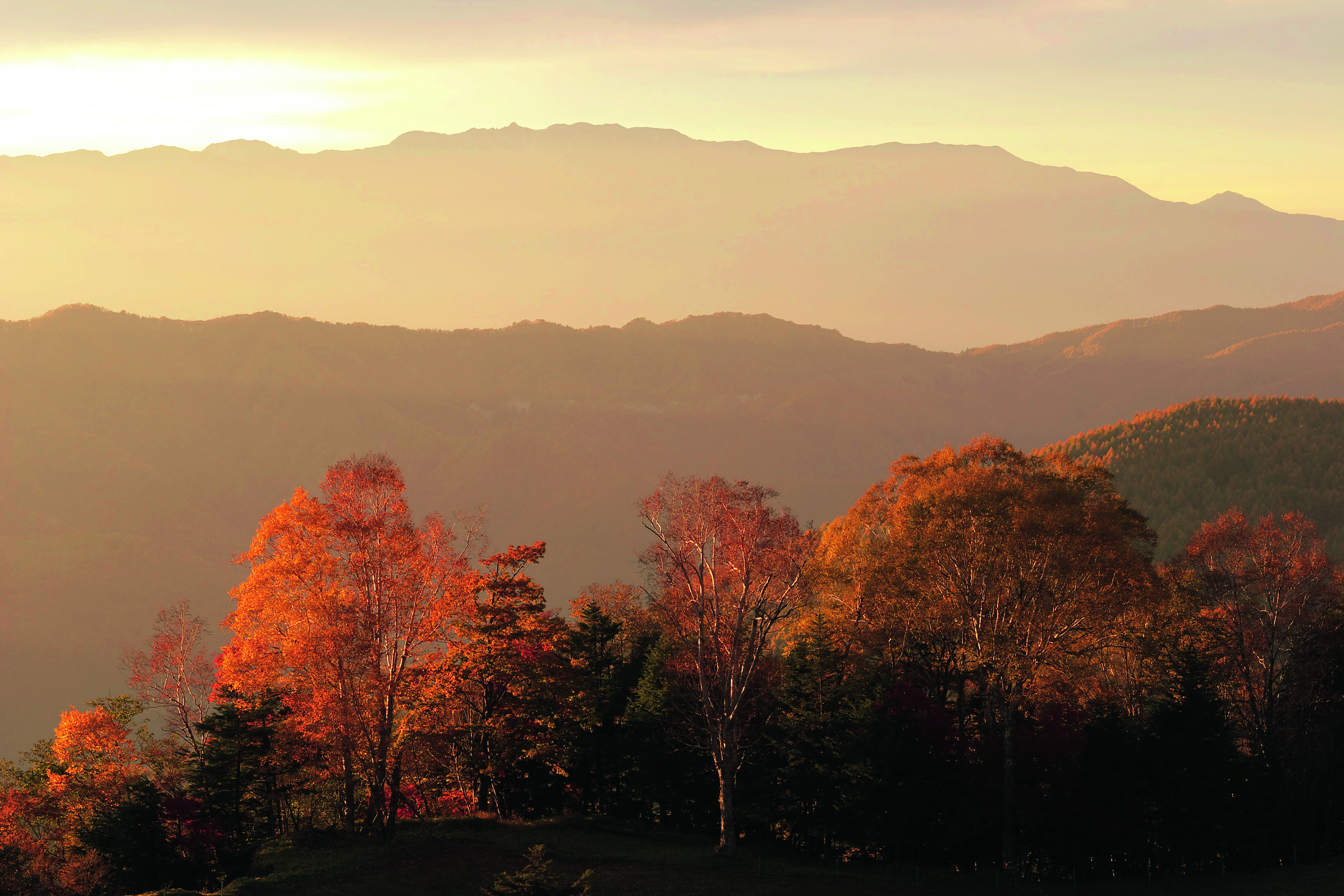 大鹿村_黒川牧場