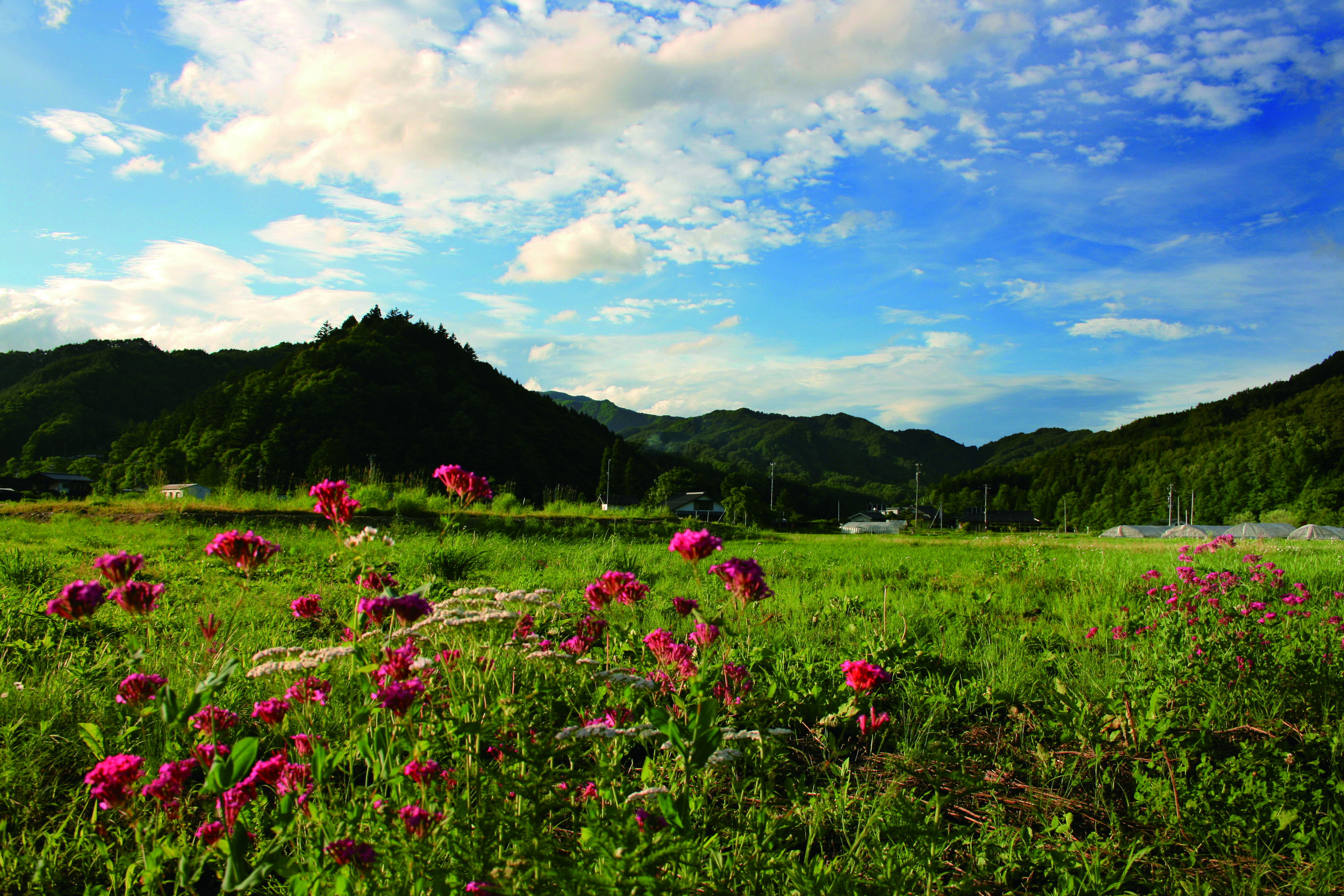 売木村_村を象徴する高森山