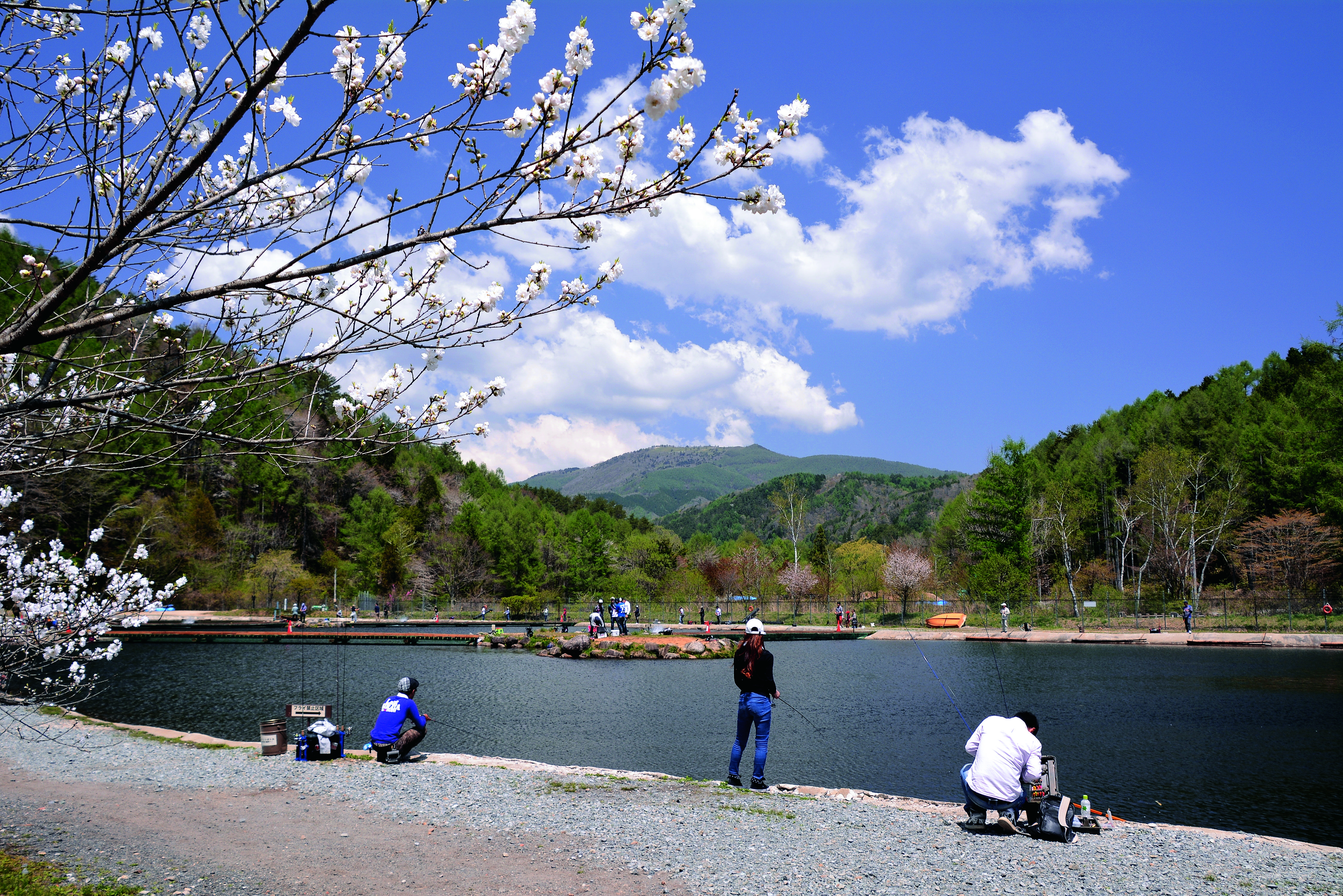 平谷村_平谷湖の春_c