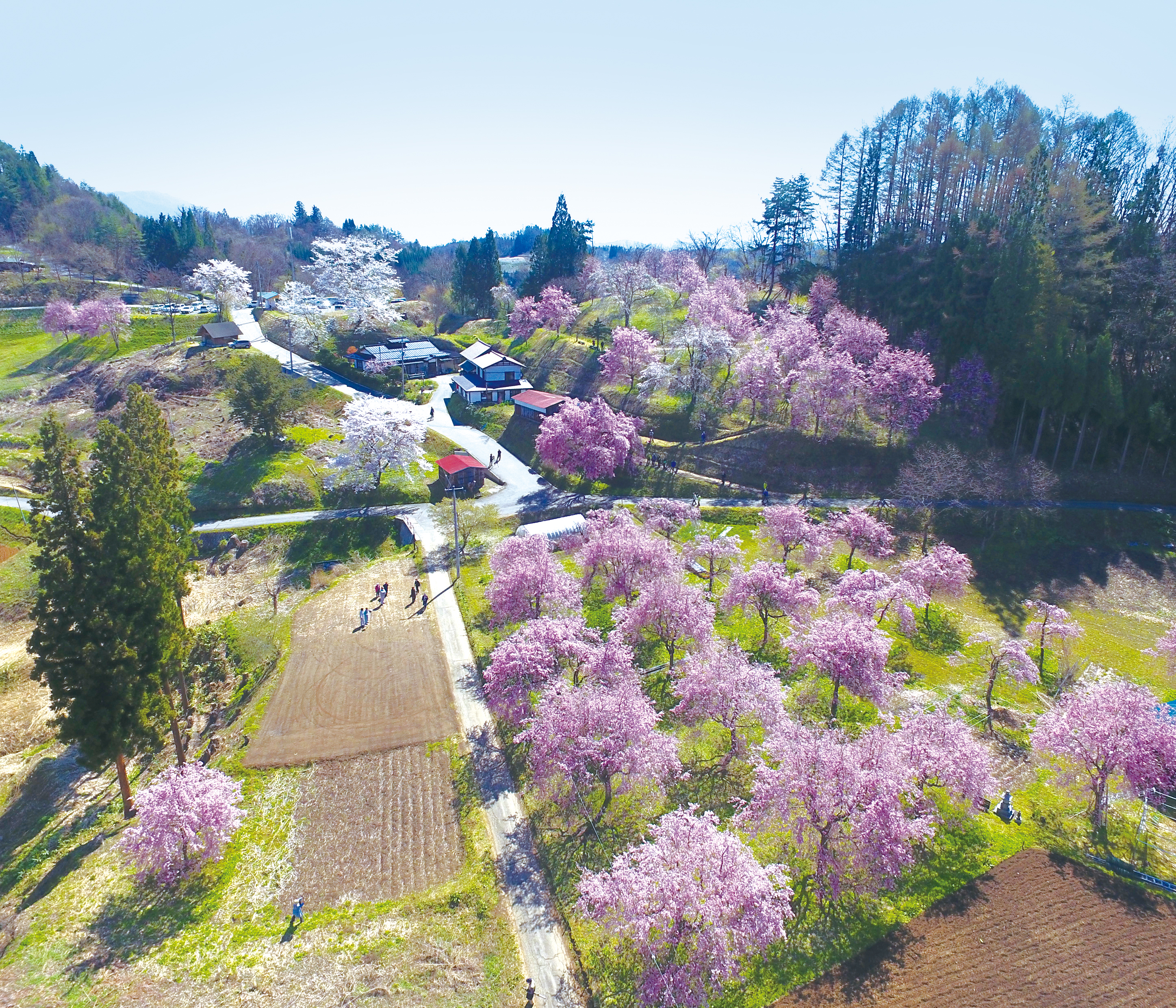 小川村