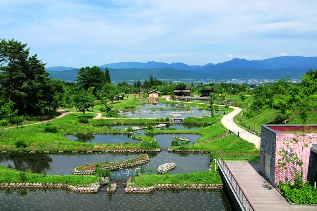 安曇野市_国営アルプスあづみの公園　堀金・穂高地