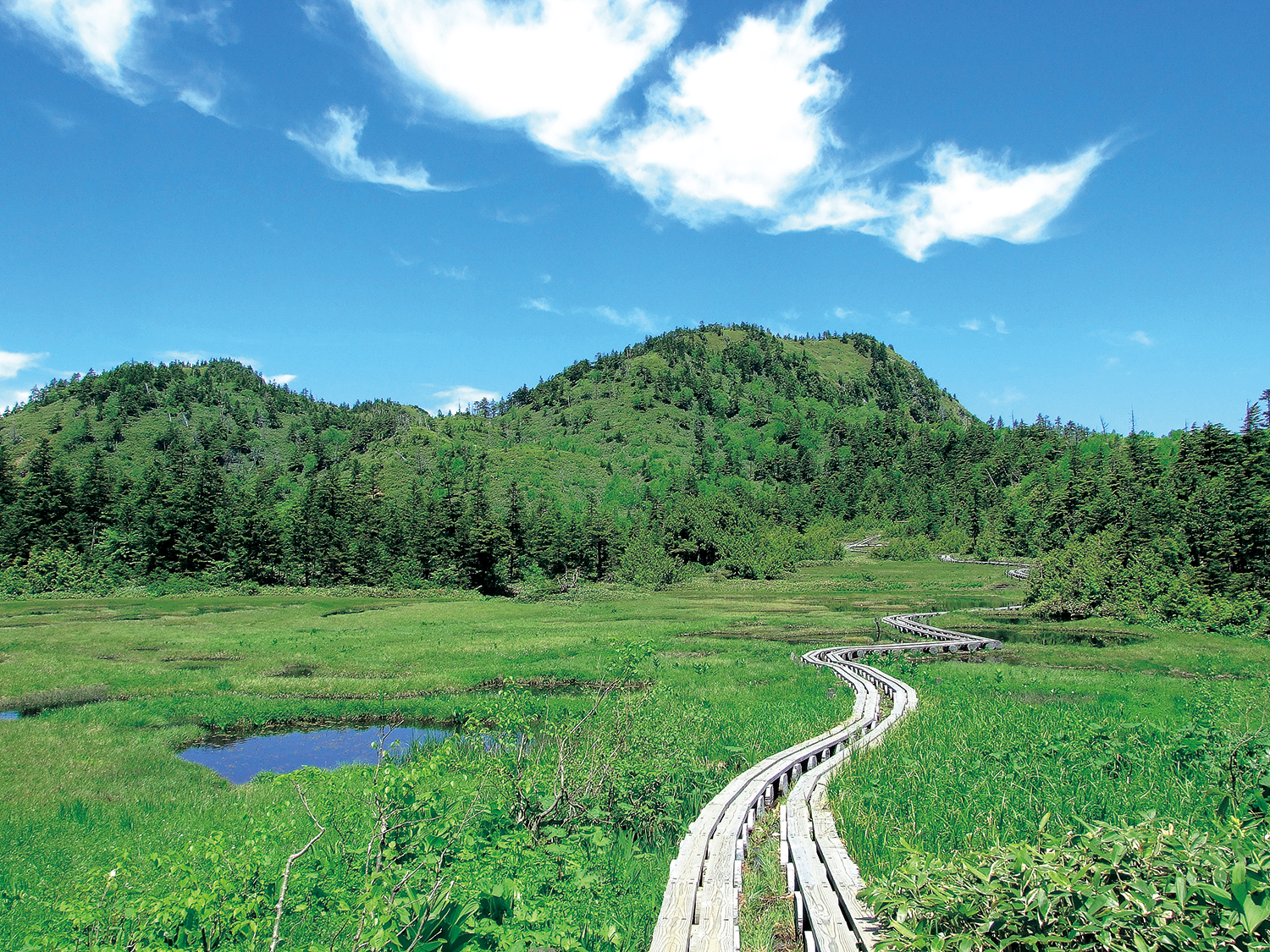 山ノ内町_志賀高原ユネスコ猫パーク