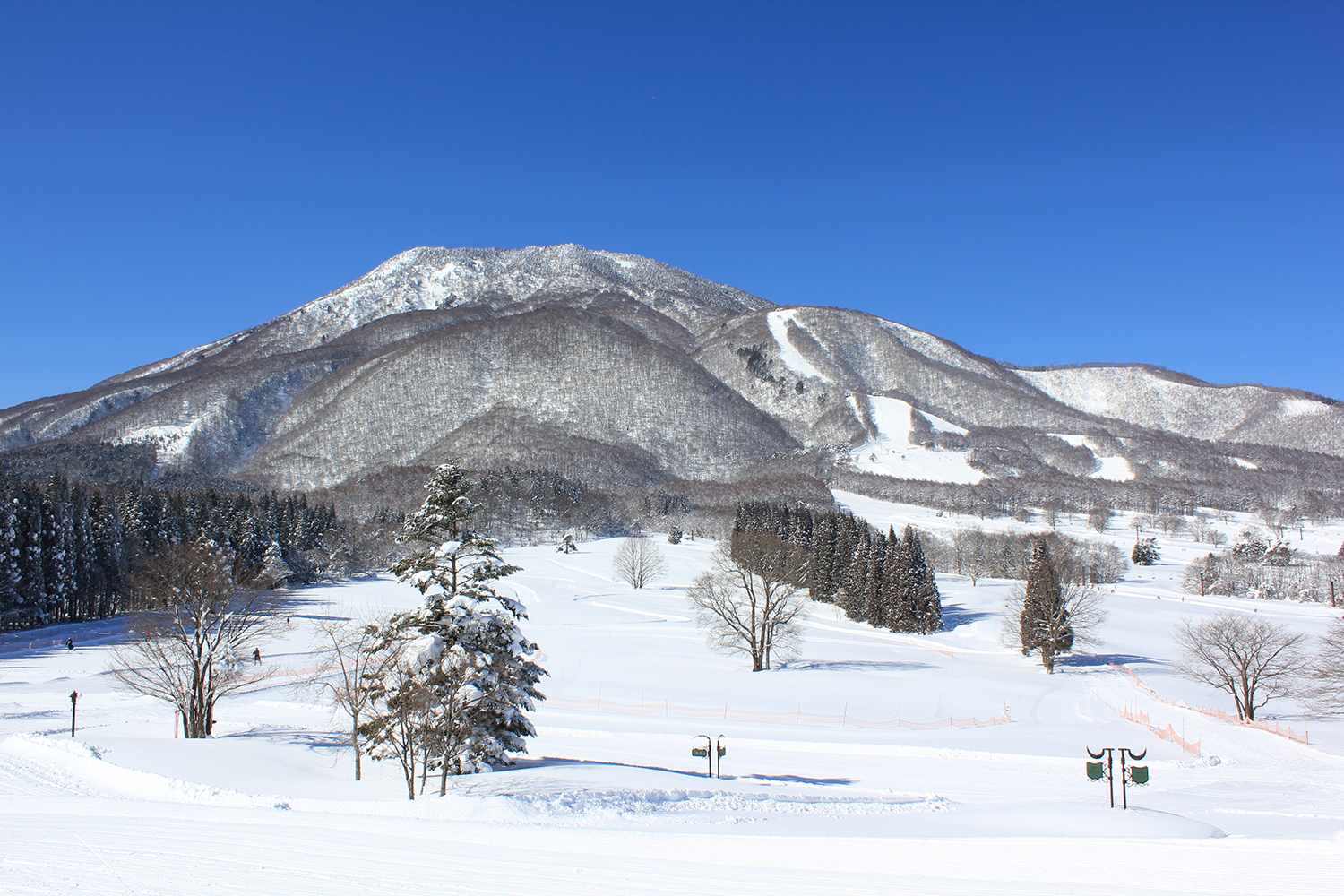 信濃町_黒姫山