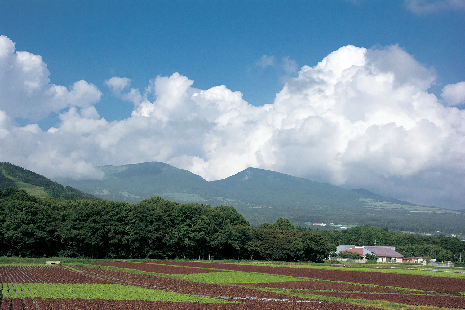 上田市_菅平高原