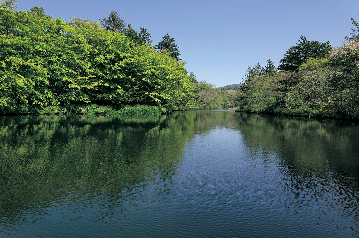 軽井沢町_雲場池